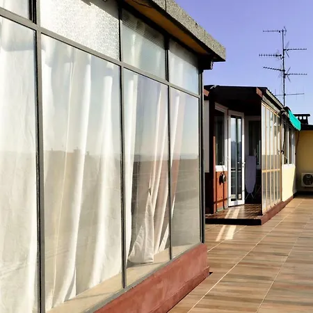 The View *